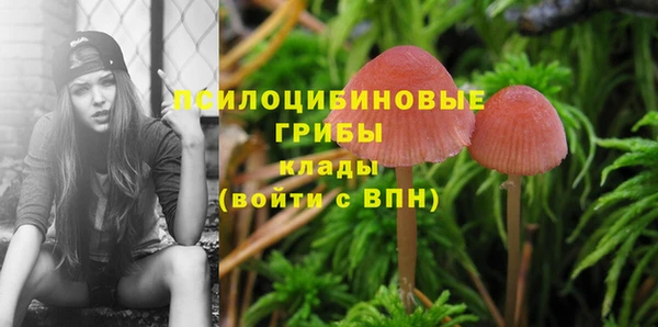 стаф Армянск