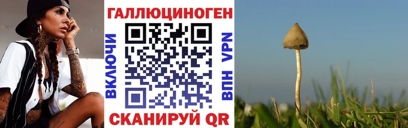 Псилоцибиновые грибы Magic Shrooms  Палласовка 